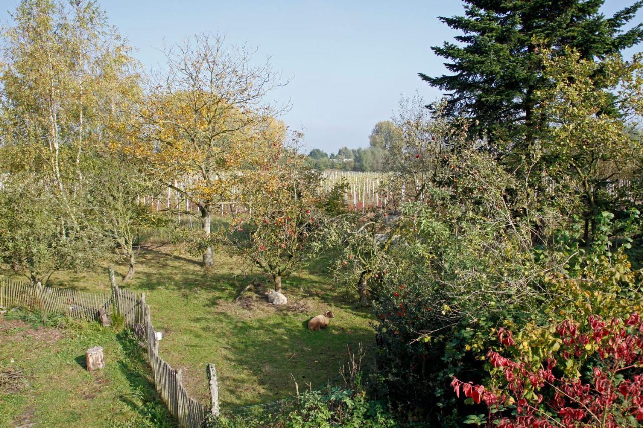 Hof Van Loverrijk Panzió Lier Kültér fotó